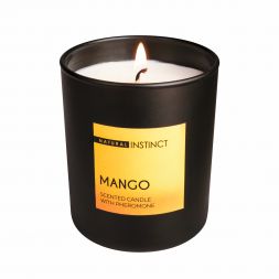 Свеча ароматическая Natural Instinct манго 180 мл